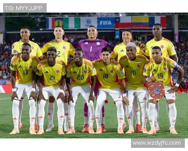 巴西队与美维尔京队的精彩对决分析与比赛前瞻