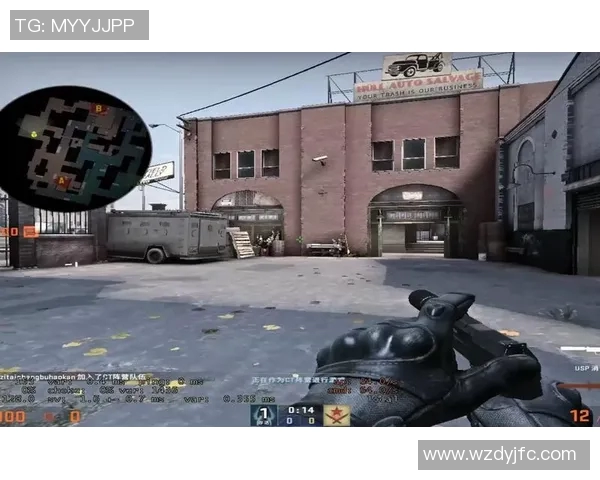 陈丽专访：从新手到高手的CSGO成长之路与心路历程回顾