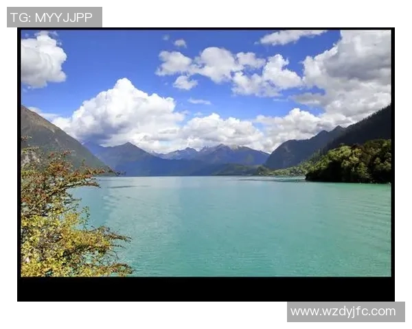 加莱诺的艺术魅力与文化影响力探讨与分析