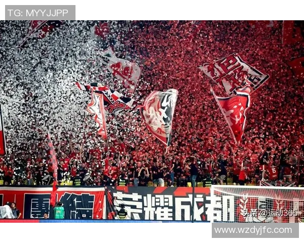 城南足球俱乐部迎战江原球队全力争胜展现实力与激情