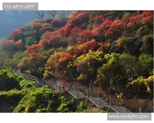 布莱克尼的神秘魅力与独特风景探秘之旅 布莱克尼的神秘魅力与独特风景探秘之旅